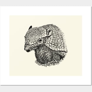 Armadillo Posters and Art